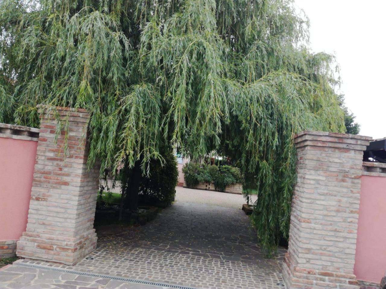 Agriturismo Ferretti Villa Massa Lombarda Buitenkant foto